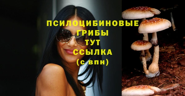 наркотики Алексин