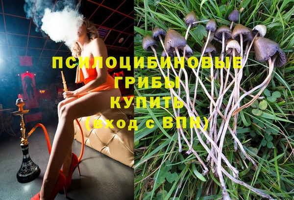 наркотики Алексин