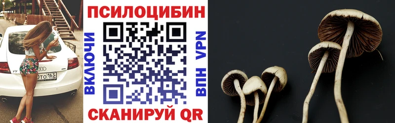 Галлюциногенные грибы мухоморы  Ефремов 